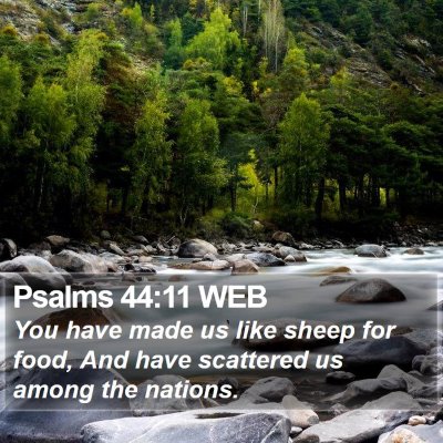 Psalms 44:11 WEB Bible Verse Image