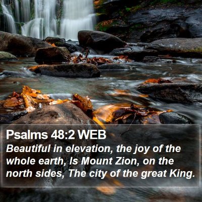 Psalms 48:2 WEB Bible Verse Image