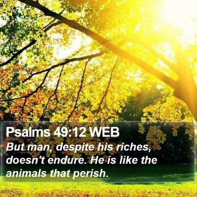 Psalms 49:12 WEB Bible Verse Image