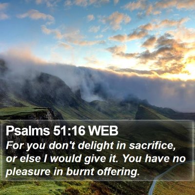 Psalms 51:16 WEB Bible Verse Image