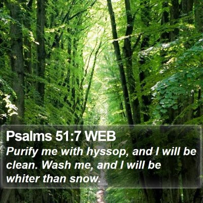 Psalms 51:7 WEB Bible Verse Image