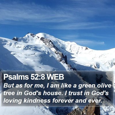 Psalms 52:8 WEB Bible Verse Image