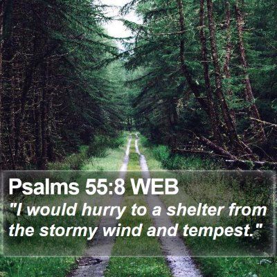 Psalms 55:8 WEB Bible Verse Image