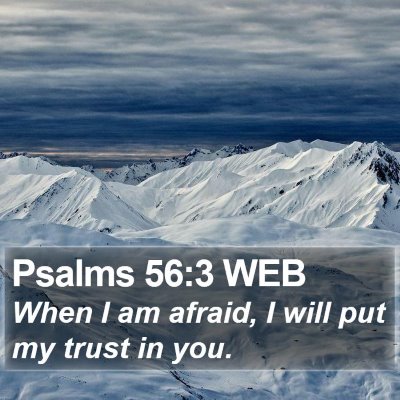 Psalms 56:3 WEB Bible Verse Image
