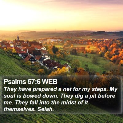 Psalms 57:6 WEB Bible Verse Image