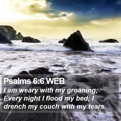 Psalms 6:6 WEB Bible Verse Image