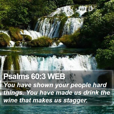 Psalms 60:3 WEB Bible Verse Image