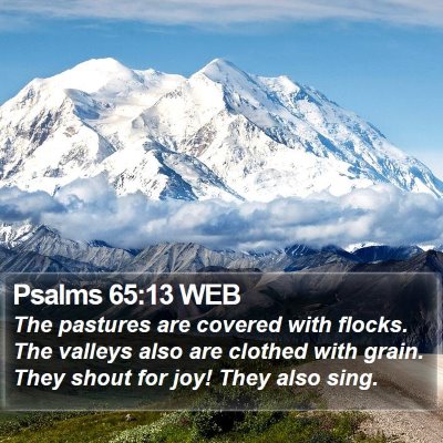 Psalms 65:13 WEB Bible Verse Image