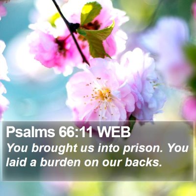 Psalms 66:11 WEB Bible Verse Image