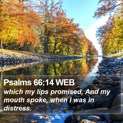 Psalms 66:14 WEB Bible Verse Image