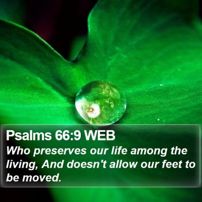 Psalms 66:9 WEB Bible Verse Image