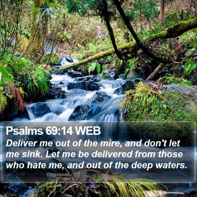 Psalms 69:14 WEB Bible Verse Image