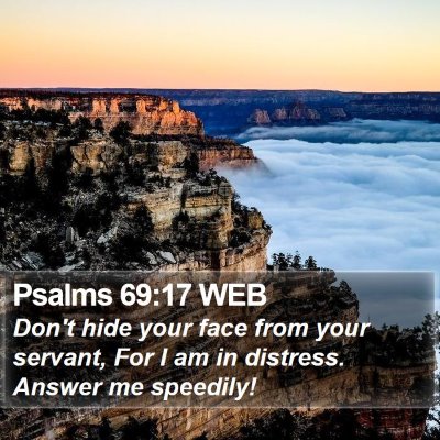 Psalms 69:17 WEB Bible Verse Image