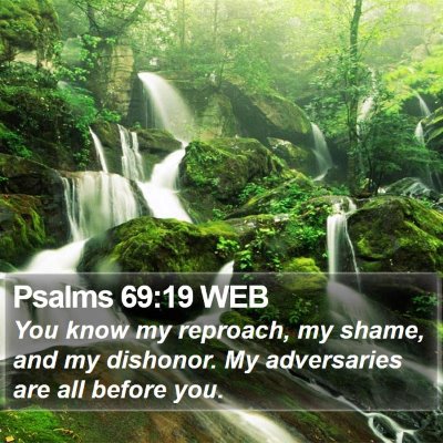 Psalms 69:19 WEB Bible Verse Image