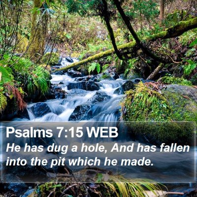 Psalms 7:15 WEB Bible Verse Image