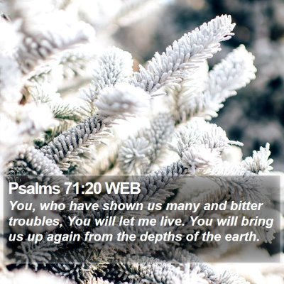 Psalms 71:20 WEB Bible Verse Image
