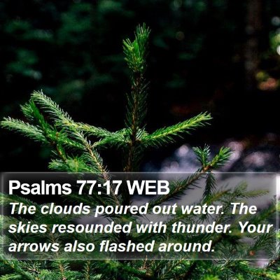 Psalms 77:17 WEB Bible Verse Image