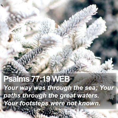 Psalms 77:19 WEB Bible Verse Image