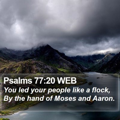 Psalms 77:20 WEB Bible Verse Image