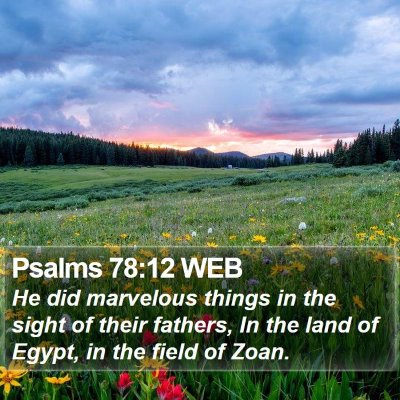 Psalms 78:12 WEB Bible Verse Image