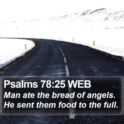 Psalms 78:25 WEB Bible Verse Image