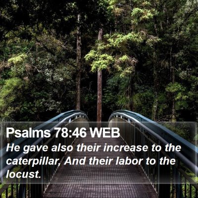 Psalms 78:46 WEB Bible Verse Image