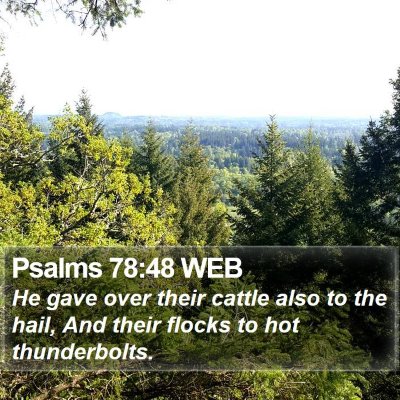 Psalms 78:48 WEB Bible Verse Image