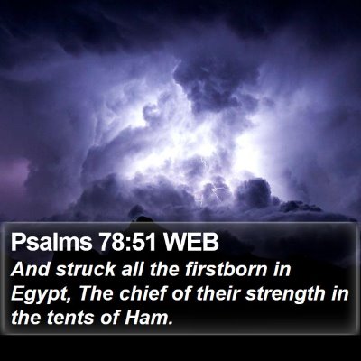 Psalms 78:51 WEB Bible Verse Image