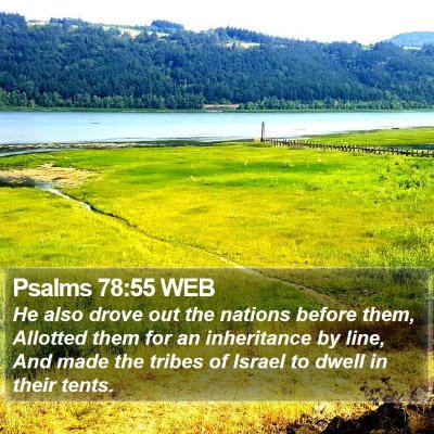 Psalms 78:55 WEB Bible Verse Image