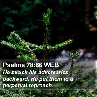 Psalms 78:66 WEB Bible Verse Image