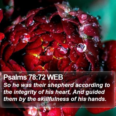 Psalms 78:72 WEB Bible Verse Image