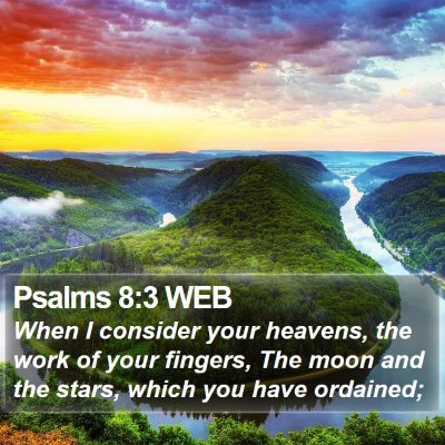 Psalms 8:3 WEB Bible Verse Image