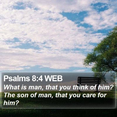Psalms 8:4 WEB Bible Verse Image