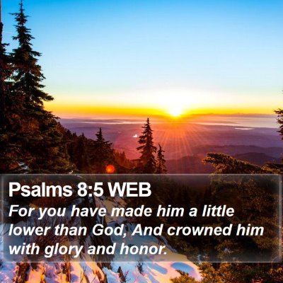 Psalms 8:5 WEB Bible Verse Image