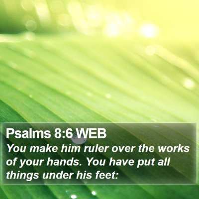 Psalms 8:6 WEB Bible Verse Image