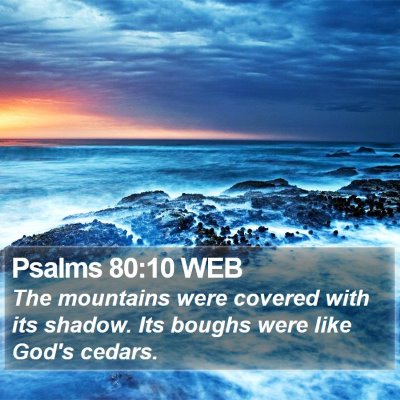 Psalms 80:10 WEB Bible Verse Image