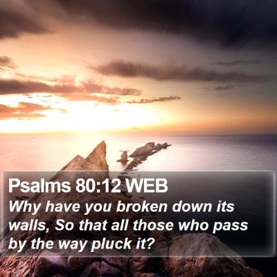 Psalms 80:12 WEB Bible Verse Image