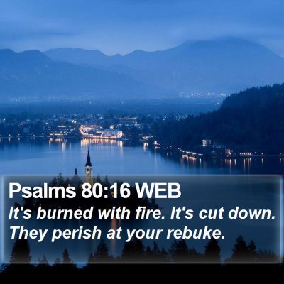 Psalms 80:16 WEB Bible Verse Image