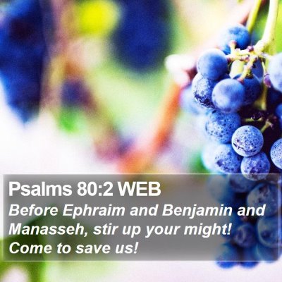 Psalms 80:2 WEB Bible Verse Image