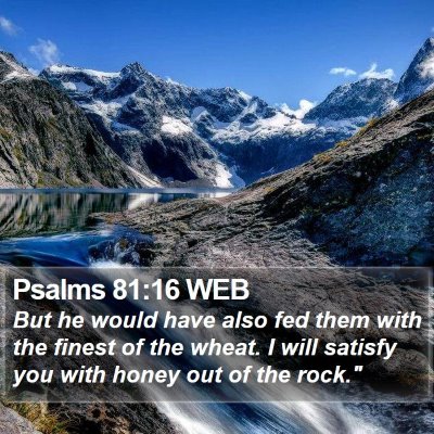 Psalms 81:16 WEB Bible Verse Image