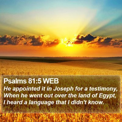 Psalms 81:5 WEB Bible Verse Image