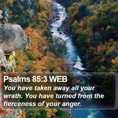 Psalms 85:3 WEB Bible Verse Image