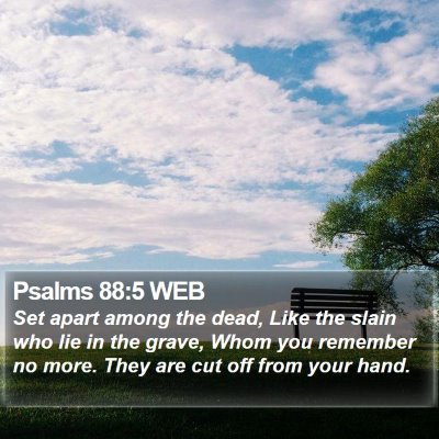 Psalms 88:5 WEB Bible Verse Image