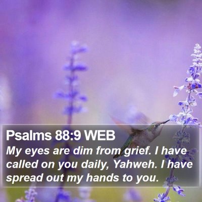 Psalms 88:9 WEB Bible Verse Image