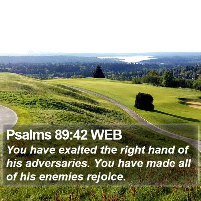 Psalms 89:42 WEB Bible Verse Image