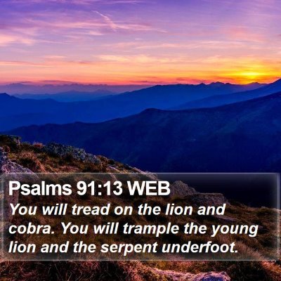 Psalms 91:13 WEB Bible Verse Image