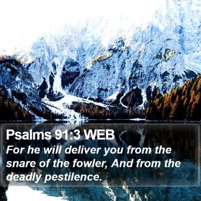 Psalms 91:3 WEB Bible Verse Image