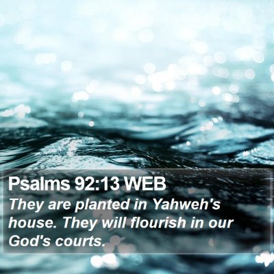 Psalms 92:13 WEB Bible Verse Image