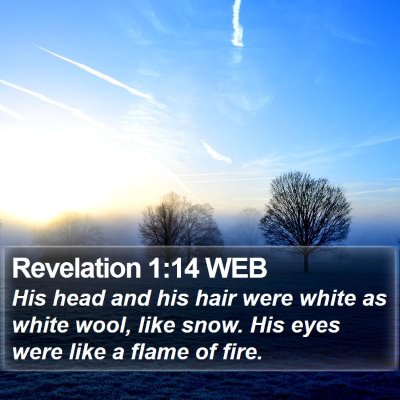 Revelation 1:14 WEB Bible Verse Image