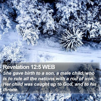 Revelation 12:5 WEB Bible Verse Image